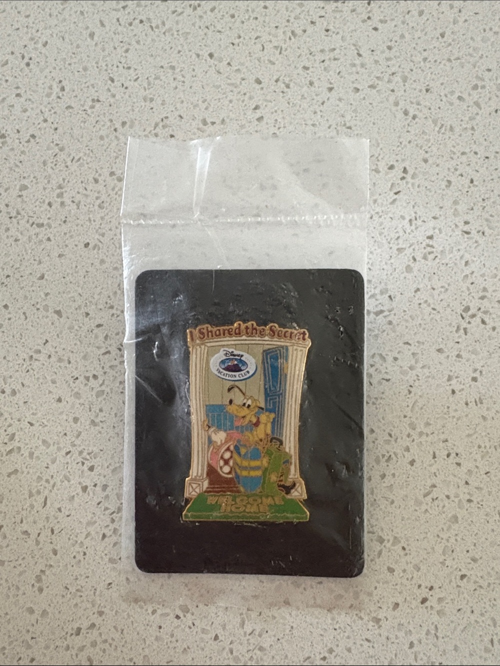 Disney vintage vacation club pin brand new